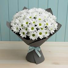 Букет цветов из:  Хризантемы в Красной Яруге