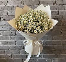 Букет цветов из:  Ромашки #REPLACE_PRED# Красной Яруге
