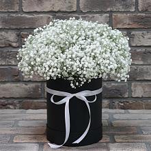 Цветочная композиция из Гипсофила в шляпной коробке #REPLACE_PRED# Красной Яруге